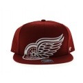 Detroit Red Wings